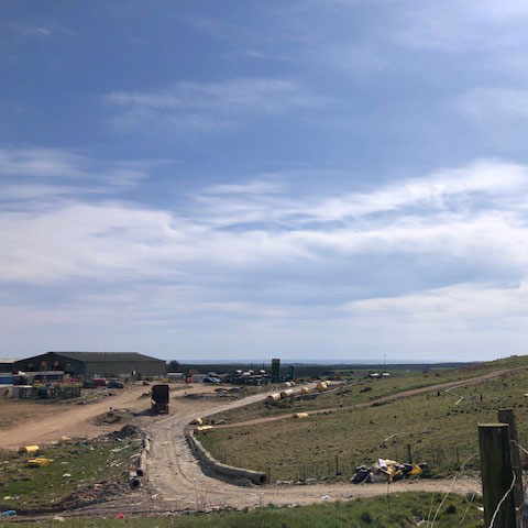 Seagull and Rodent Control